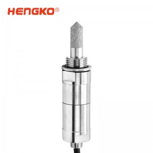 HG602干燥機露點儀_高精度露點儀_在線式露點變送器