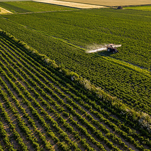 農業(yè)大棚溫濕度監(jiān)控系統(tǒng)的升級方案有幾種呢？