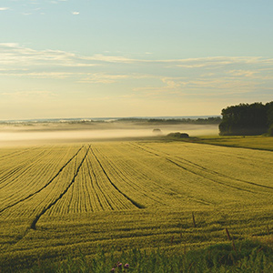 農業(yè)大棚溫濕度監(jiān)控系統(tǒng)如何進行升級呢？